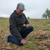 Brent Bierbaum with his cereal rye cover&nbsp;crop