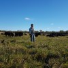 Wade Dooley with his&nbsp;cows